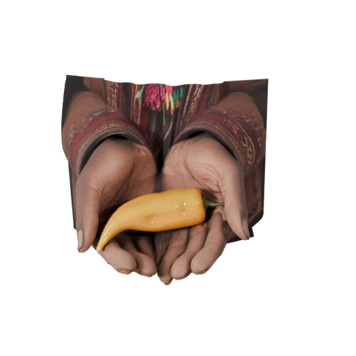 Render Tripo